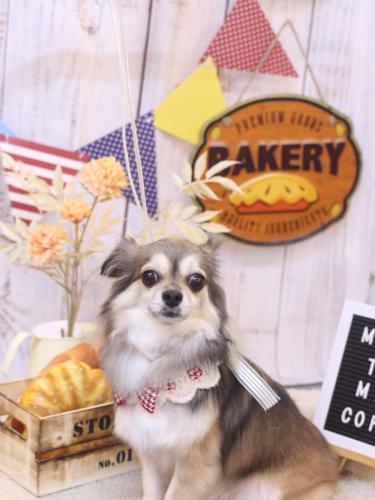 20240928あもちゃん